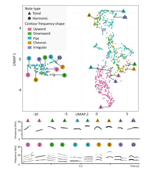 Evaluación y caracterización de los patrones acústicos en ecosistemas urbanos